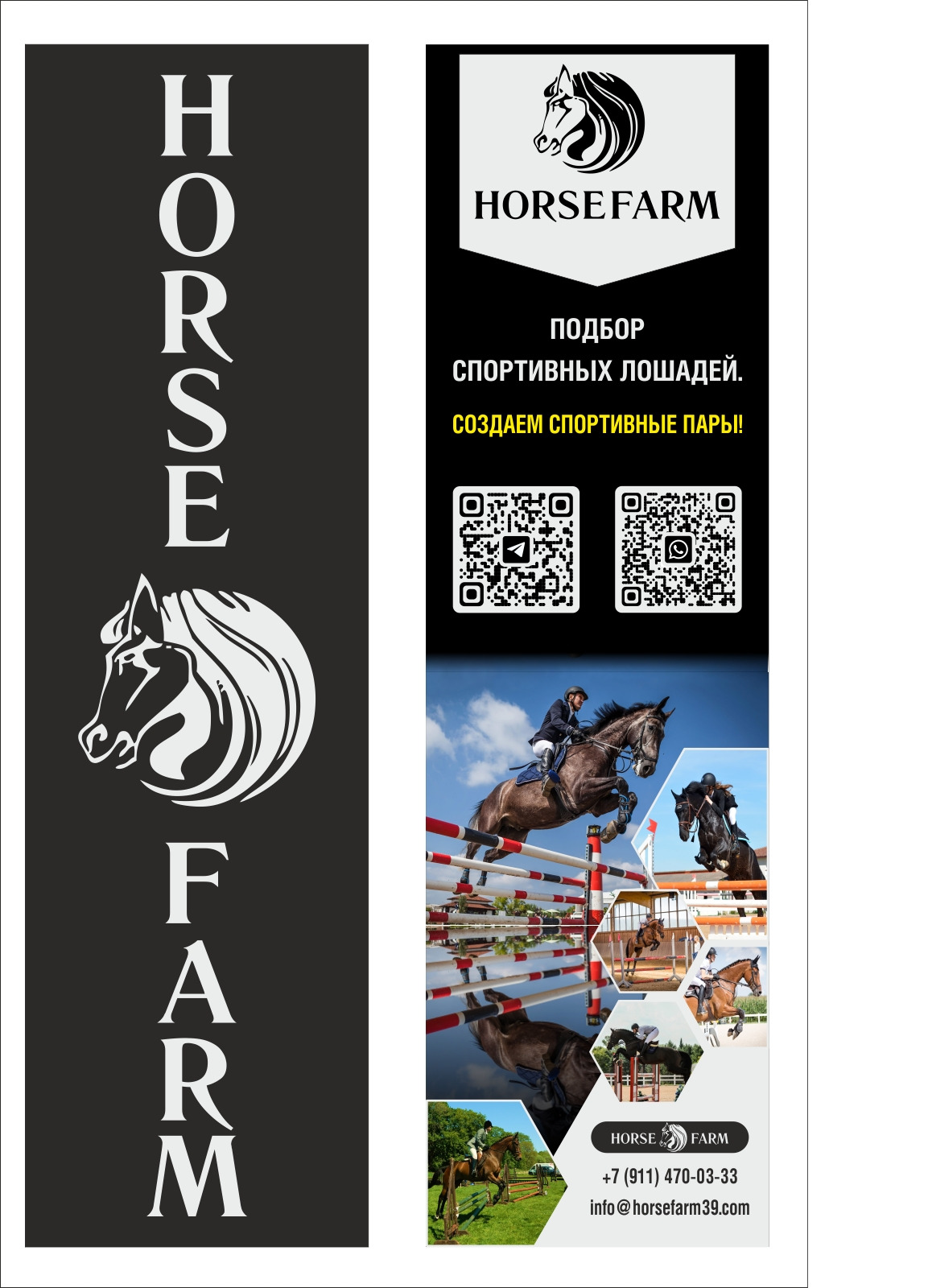 Horsefarm - Подбор спортивных лошадей. Создаем спортивные пары! +7 (911) 470-03-33 | info@horsefarm39.com