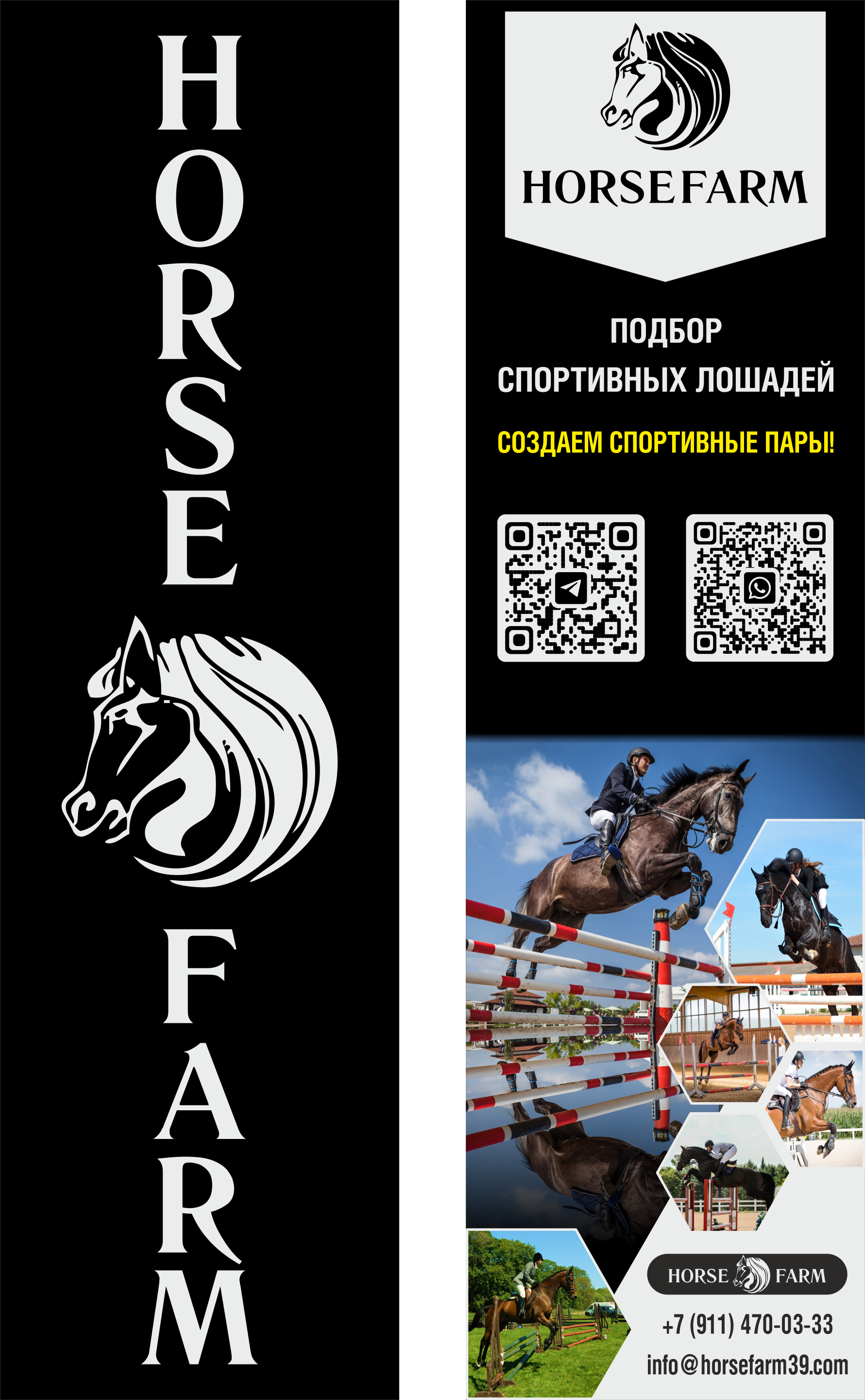 Horsefarm - Подбор спортивных лошадей. Создаем спортивные пары! +7 (911) 470-03-33 | info@horsefarm39.com